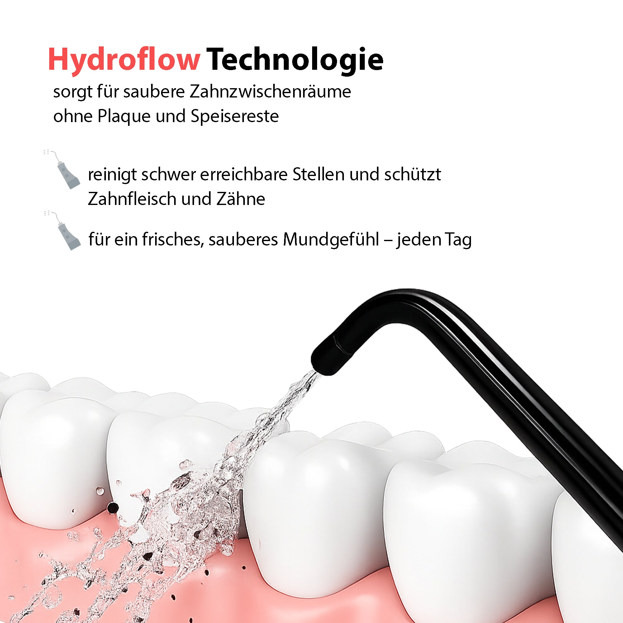 Munddusche mit Reisetasche und 2 oder 6 Ersatzdüsen